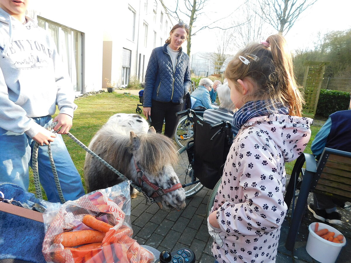 Pony Moppel